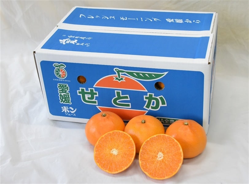 せとか」約5kg（お得用・良L～4L・施設栽培）JAにしうわ