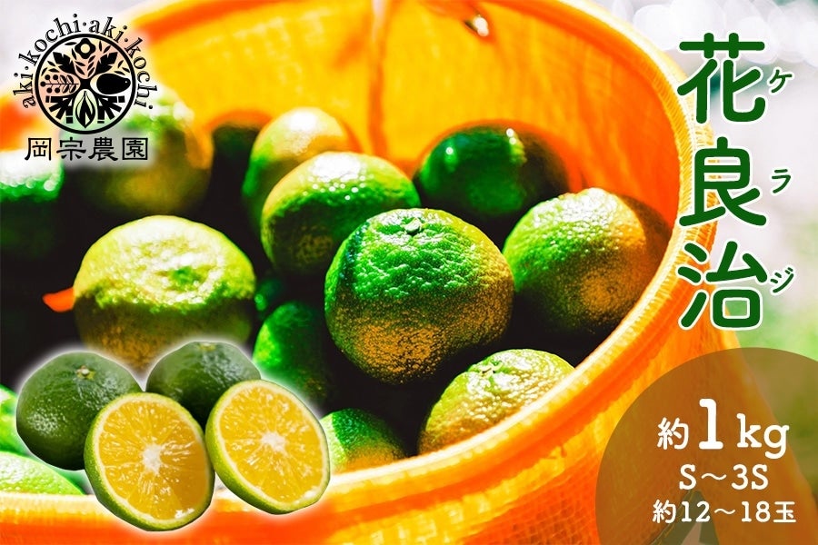 岡宗農園 花良治(ケラジ）青玉 約1kg: とさのさとアグリコレット