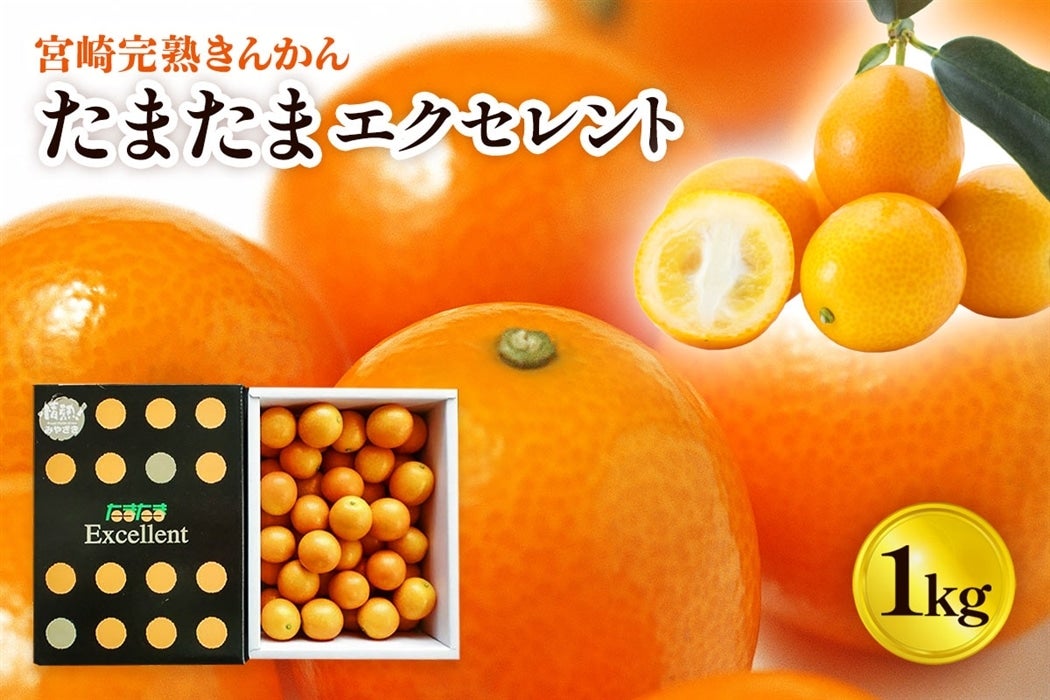 宮崎完熟きんかん【たまたまエクセレント】1kg: JAみやざき Tege