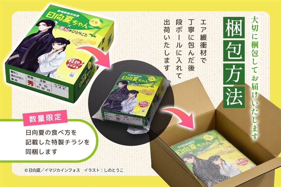 宮崎県産 日向夏 小説「薬屋のひとりごと」コラボパッケージ 2.5kg（種