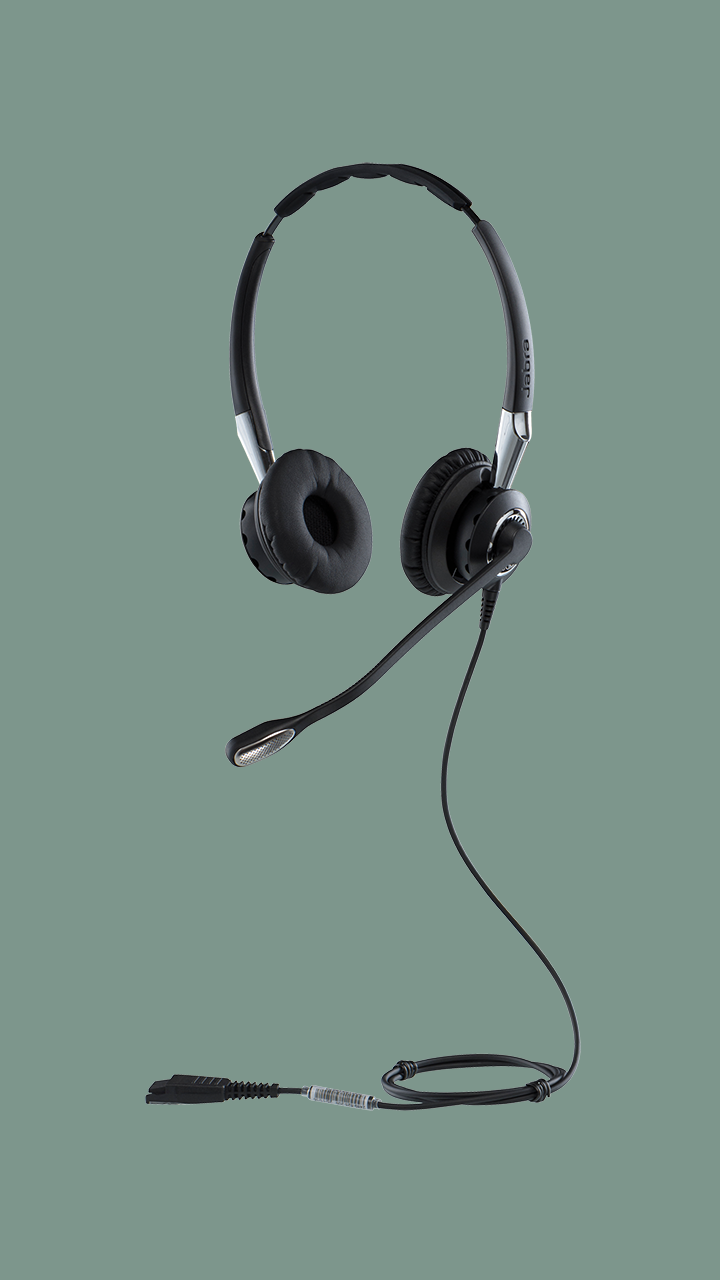 Buy now | Jabra Biz 2400 II
