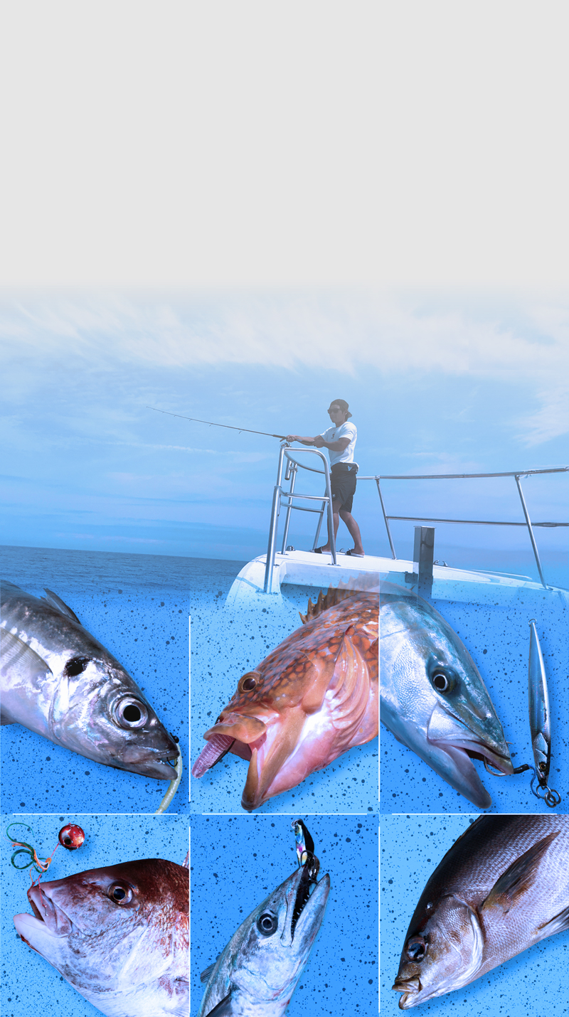 GSW - SALT WATER 海釣り｜JACKALL｜ジャッカル｜ルアー