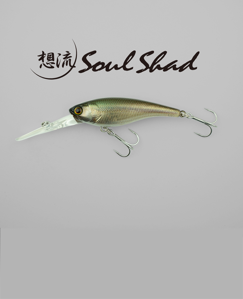 SOUL SHAD / ソウルシャッド - FRESH WATER バス釣り ｜JACKALL