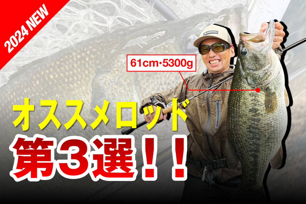 1年間様々なフィールドを見てきた僕のおすすめロッド3選/斉広峰