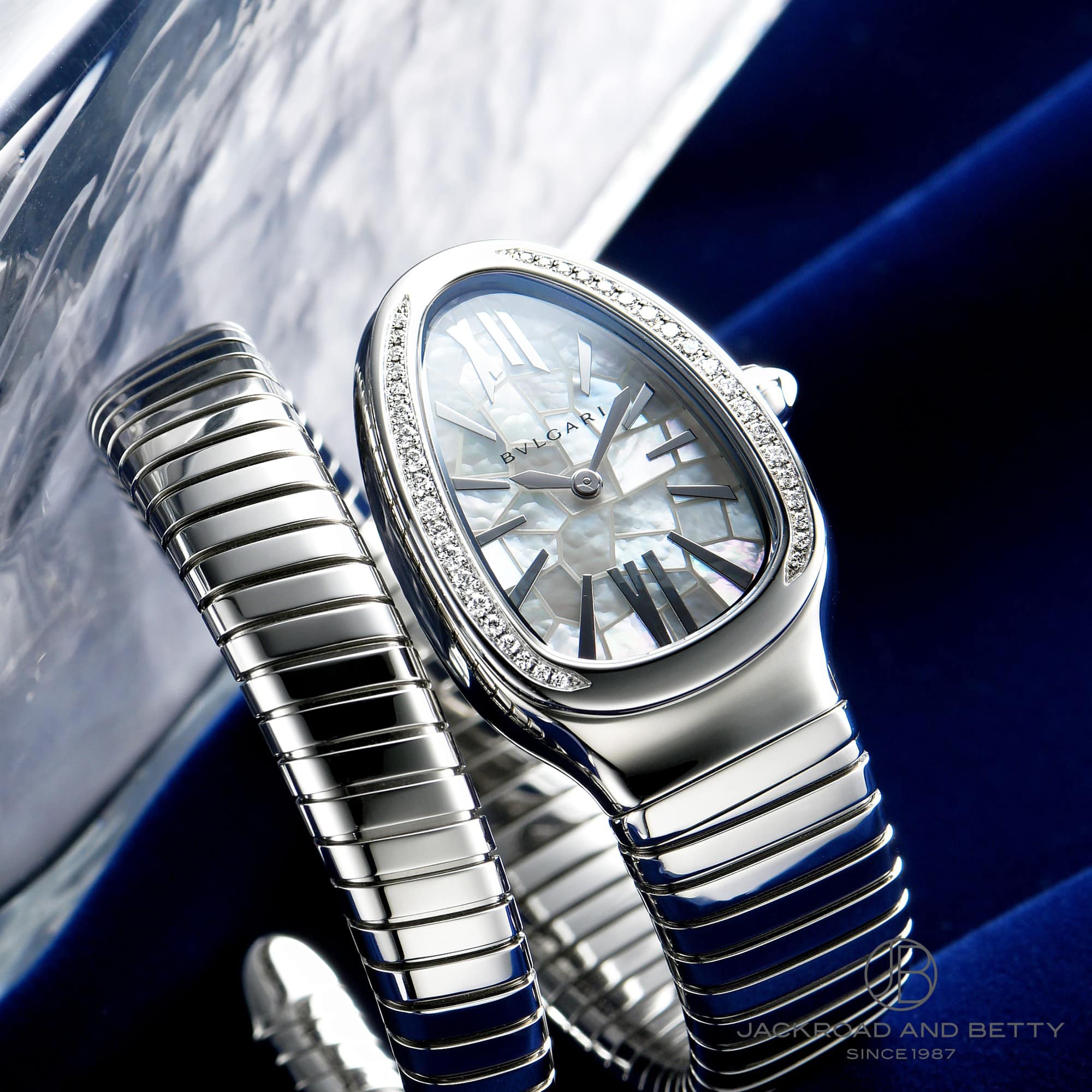 セルペンティ トゥボガス 安藤忠雄限定コラボ ウィンター エディション