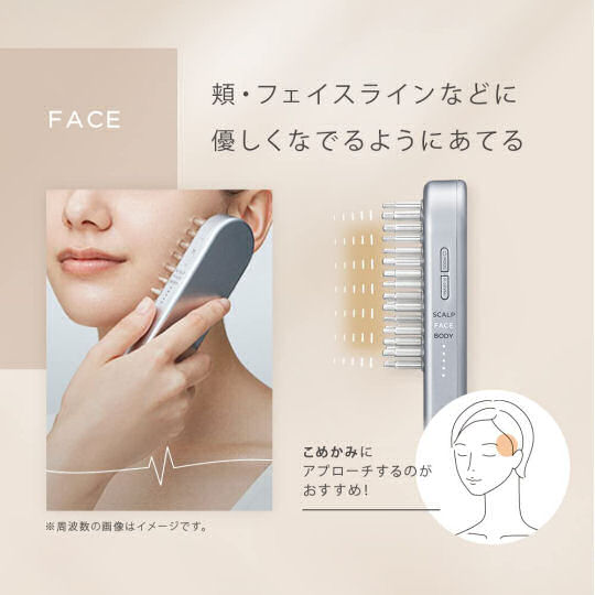 ボディ・フェイスケア SALONIA EHS LIFT BRUSH SD CASE Salonia EMS