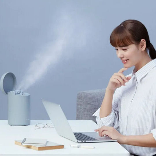 Salonia Pure Bright Steamer | Japan Trend Shop