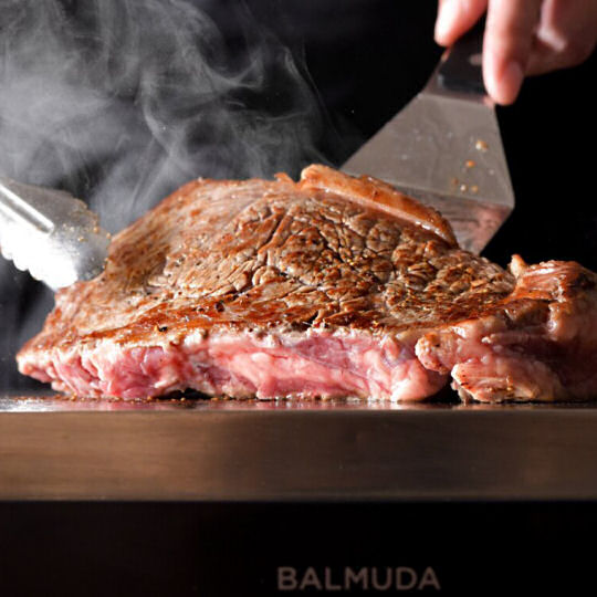 Balmuda The Plate Pro | Japan Trend Shop
