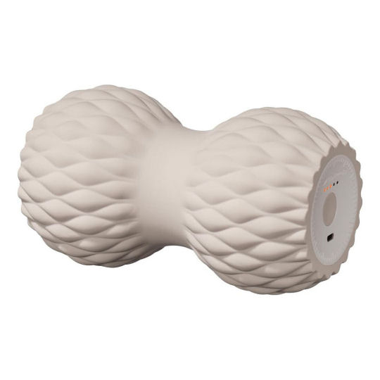 SixPad Power Roller Twins | Japan Trend Shop