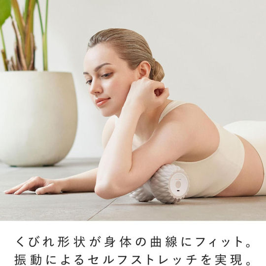 SixPad Power Roller Twins | Japan Trend Shop