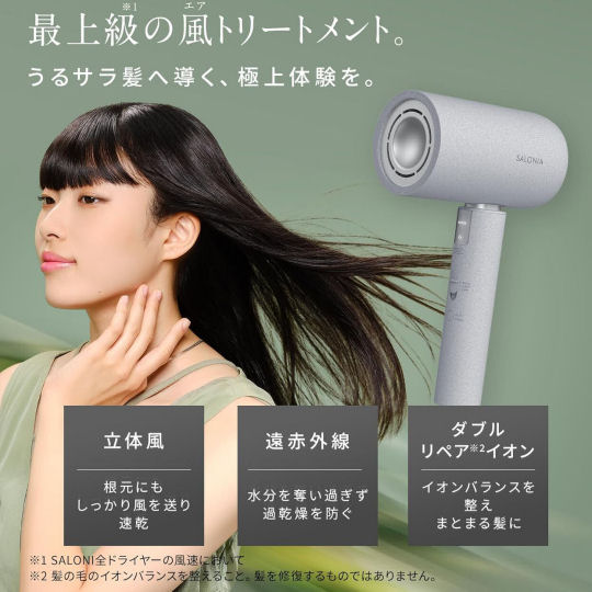 Salonia Air Treatment Dryer | Japan Trend Shop