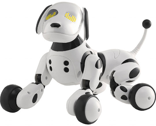Omnibot Hello! Zoomer | Japan Trend Shop