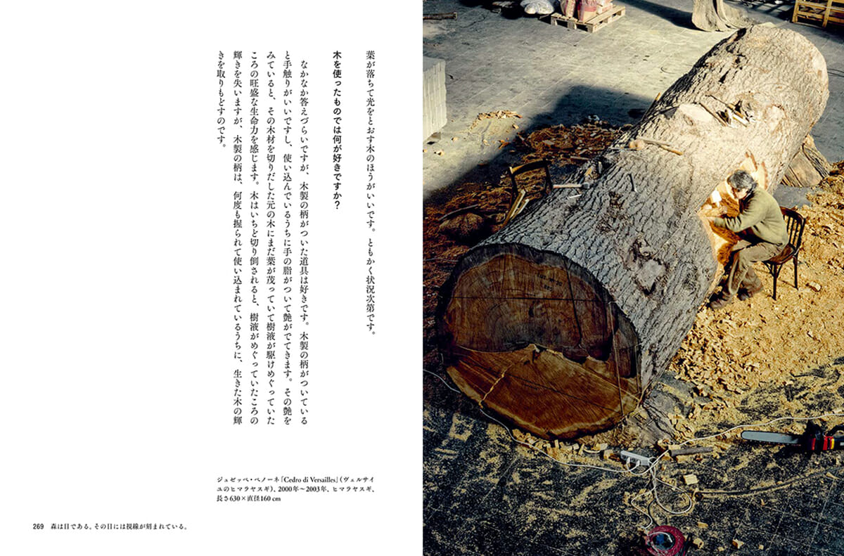 Savoir & Faire 木 - おすすめ書籍・本 - デザイン情報サイト[JDN]