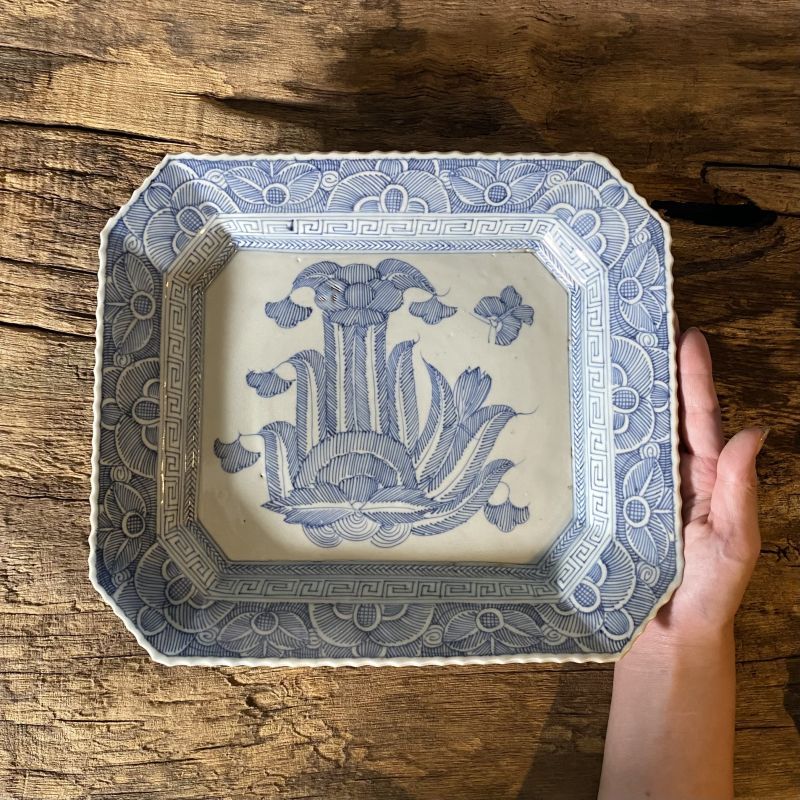 伊万里焼 染付 角皿 大皿 線描き 蝶 植物 - ジャパニーズアンティーク