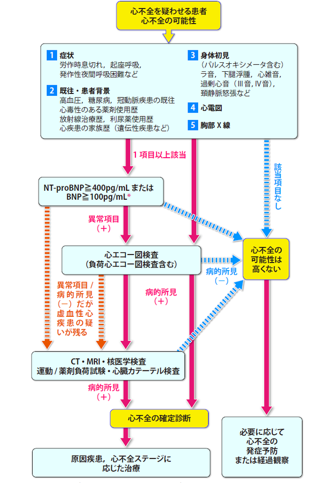 急性・慢性心不全診療ガイドライン・エッセンス | | 循環器病の治療