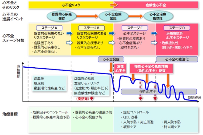 急性・慢性心不全診療ガイドライン・エッセンス | | 循環器病の治療