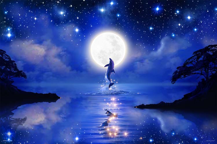 YAM-10-1447 ラッセン ドリーミングナイト 1000ピース やのまん の商品