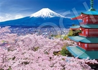 商品数6000点以上！国内最大級ジグソーパズル・パネル専門店