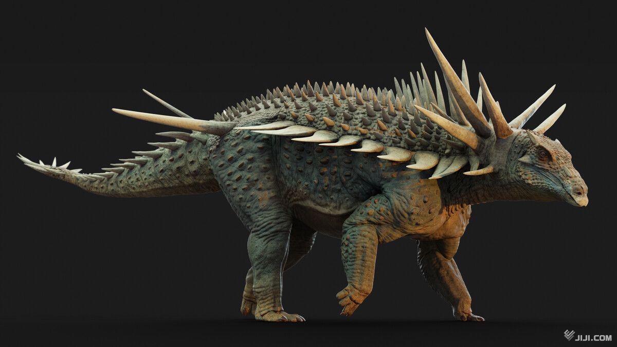 画像・写真：長いとげ、派手な姿 1億6500万年前のよろい竜化石