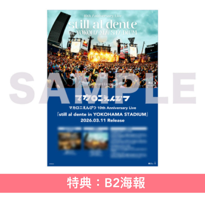 マカロニえんぴつ(Macaroni Empitsu) 出道10周年紀念Live Blu-ray/DVD