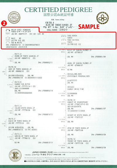 血統証明書について | 一般社団法人 ジャパンケネルクラブ