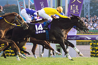 JRAホームページ｜データファイル｜競走成績データ