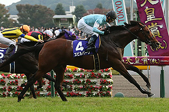 JRAホームページ｜データファイル｜競走成績データ