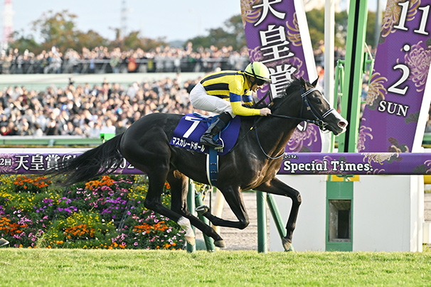 2025年 天皇賞（秋） JRA