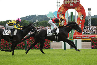 2025年第45回ジャパンカップ＆第92回日本ダービー 貴賓室セット 2025年