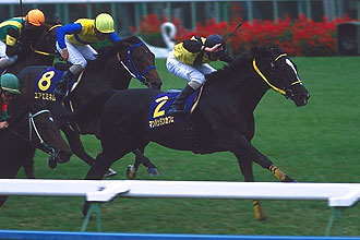 現地単勝 2001年 菊花賞 マンハッタンカフェ 現地単勝 2001年 菊花賞
