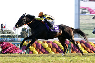 2025年 マイルチャンピオンシップ JRA