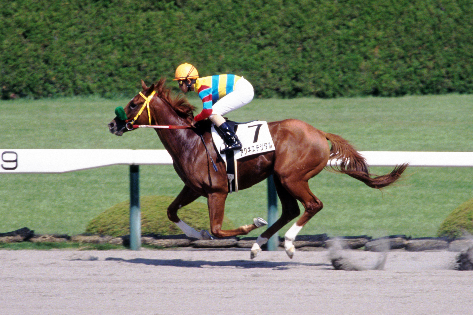 アグネスデジタル他17頭00年 マイルCS現地的中単勝馬券人気薄・貴重