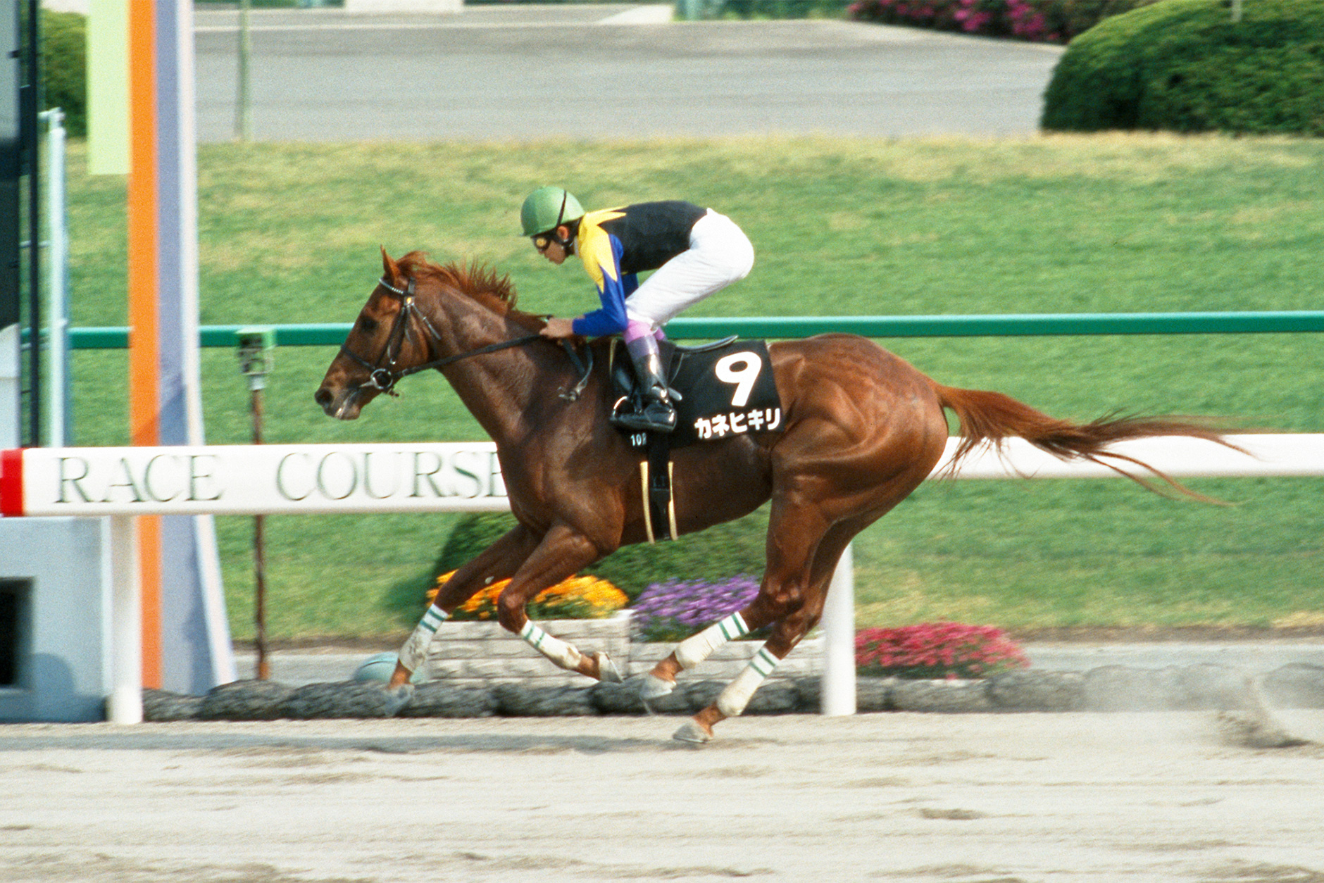 カネヒキリ｜3分でわかった気になる名馬 JRA