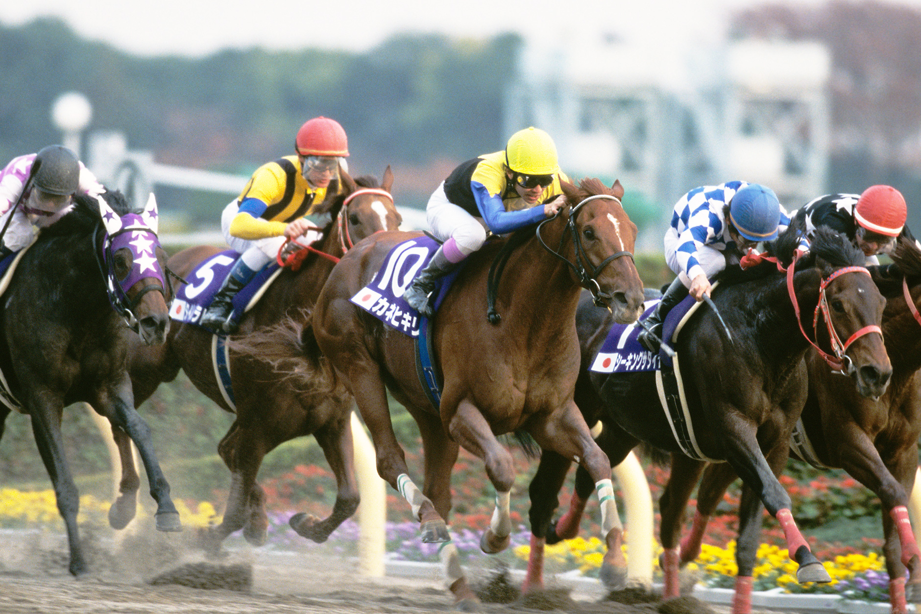 カネヒキリ｜3分でわかった気になる名馬 JRA