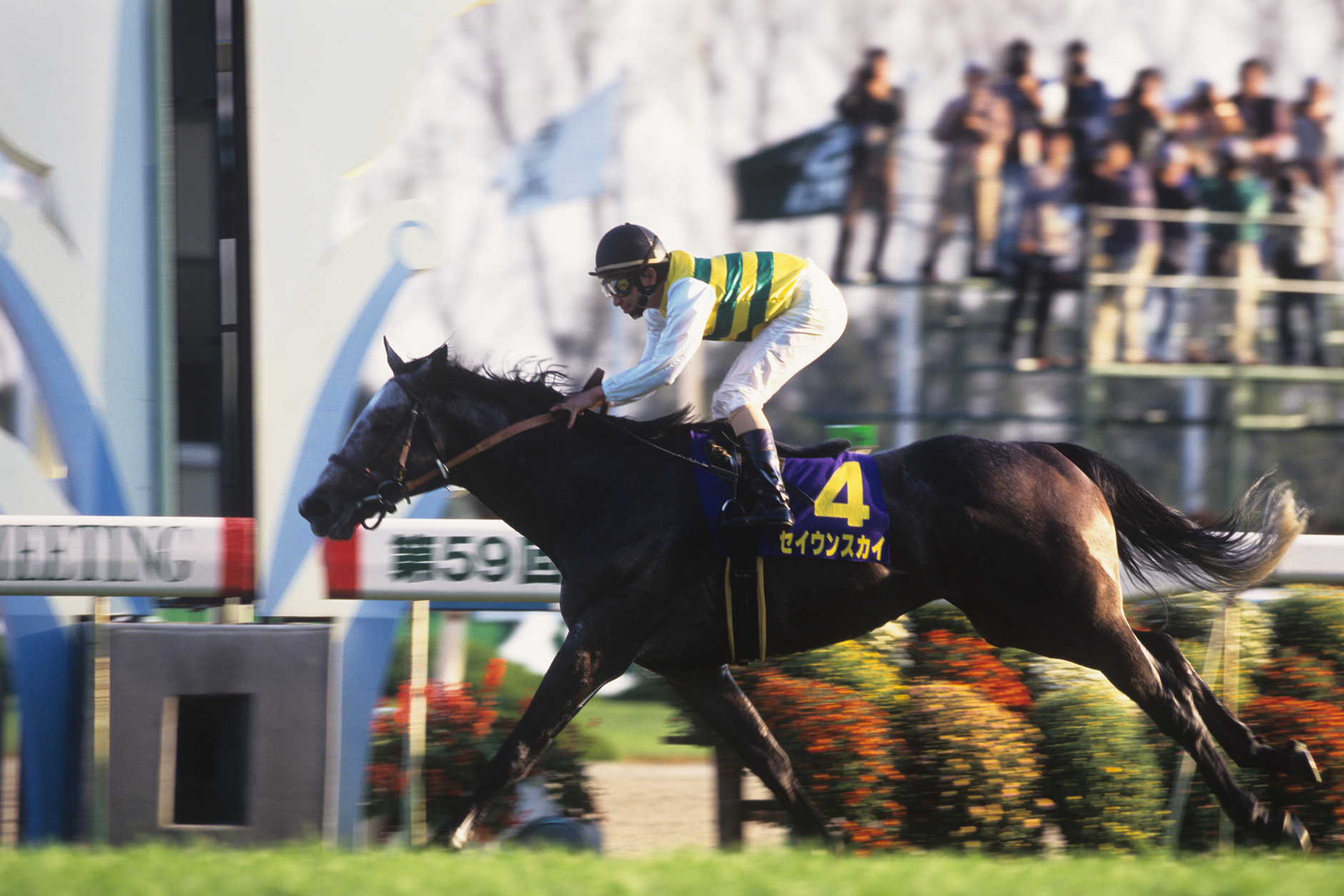 セイウンスカイ｜3分でわかった気になる名馬 JRA