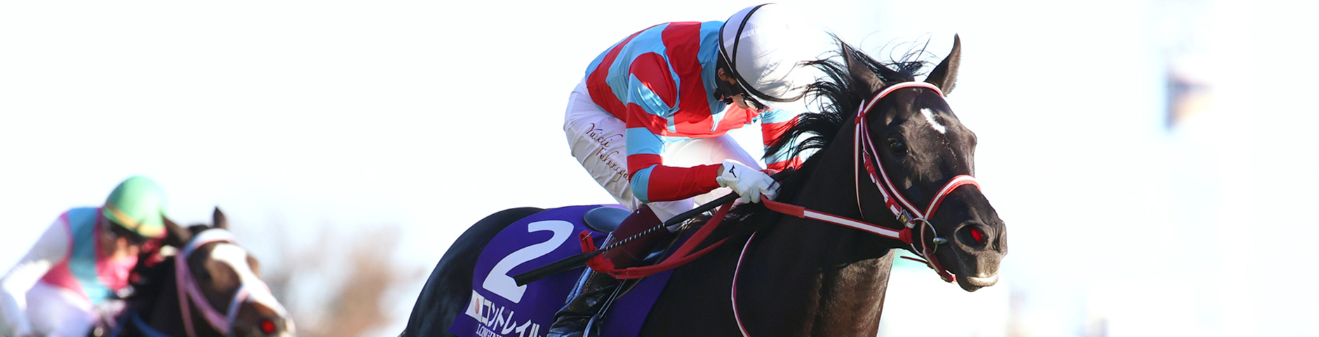 コントレイル｜3分でわかった気になる名馬 JRA