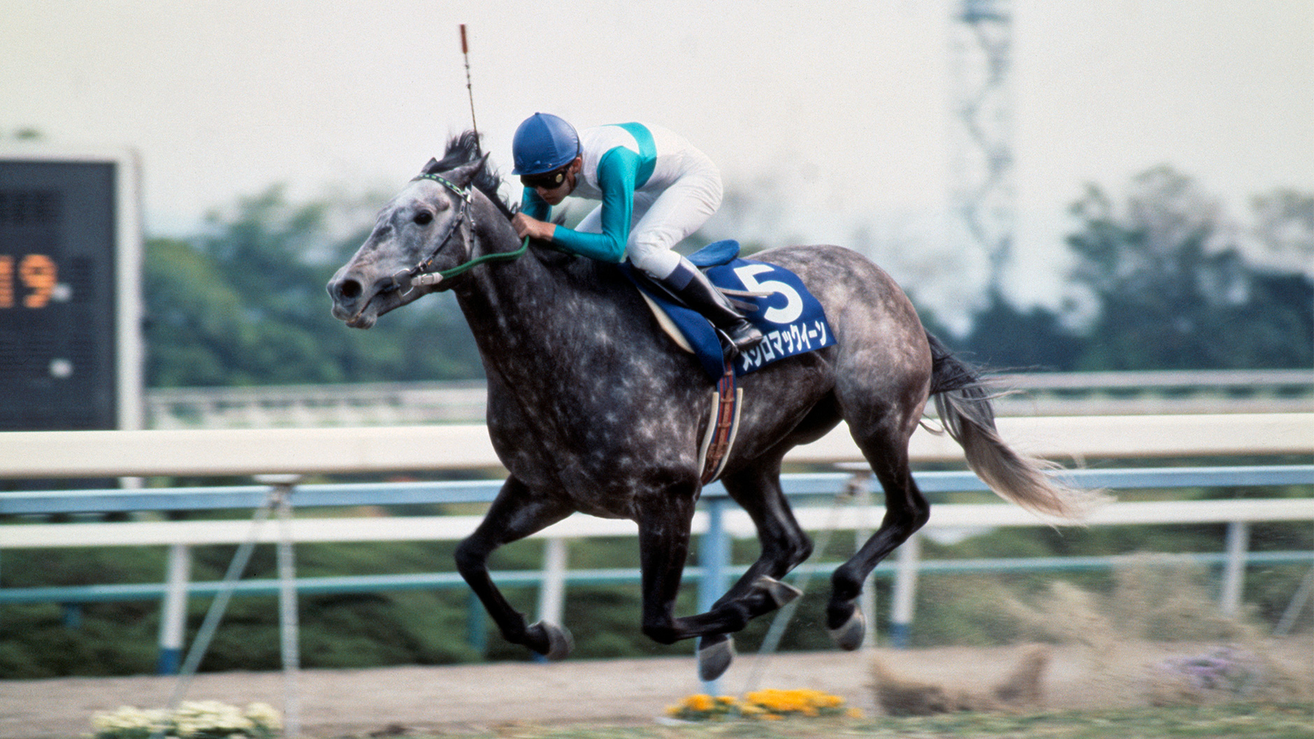 メジロマックイーン：競馬の殿堂 JRA