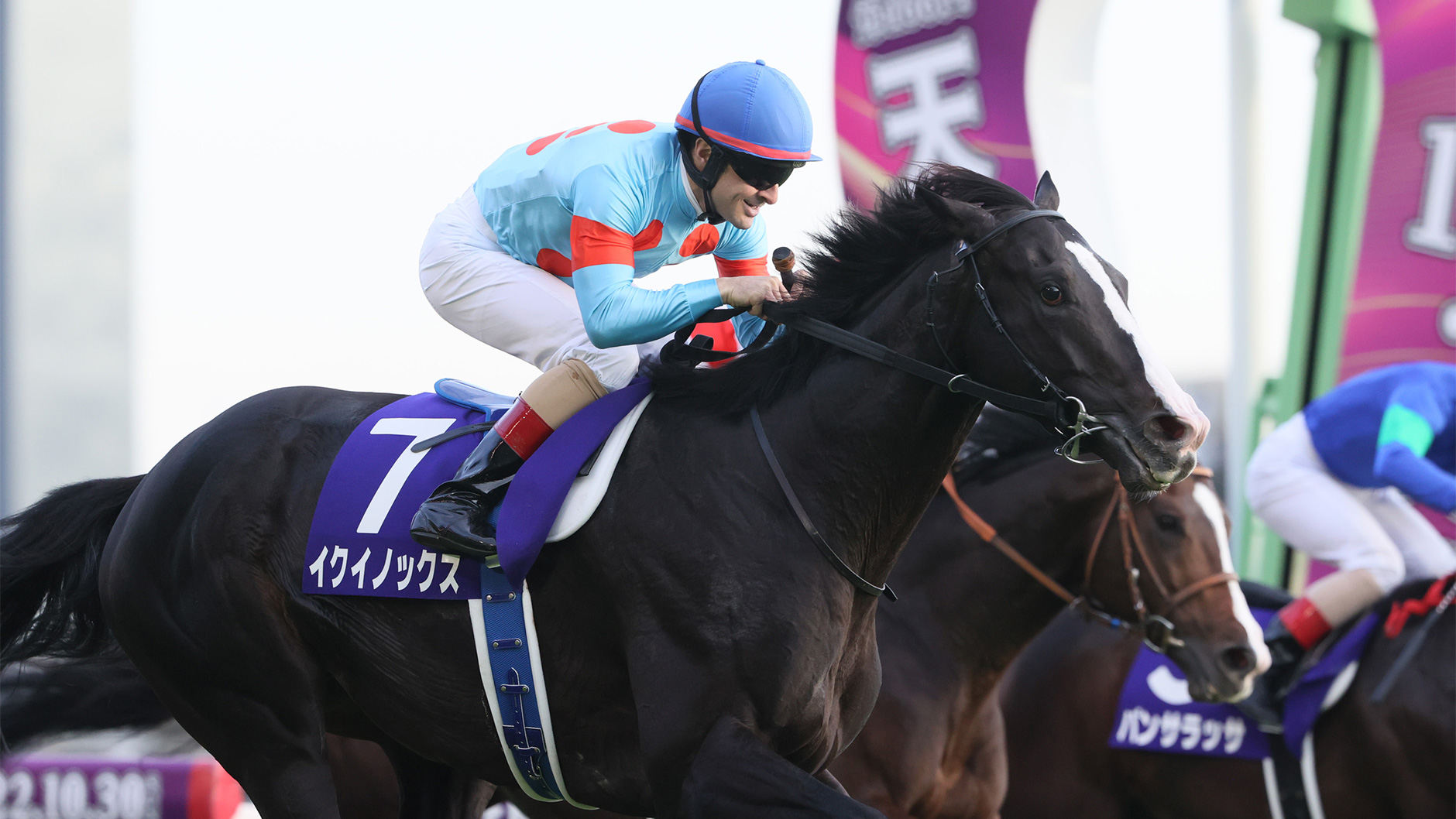 イクイノックス：競馬の殿堂 JRA