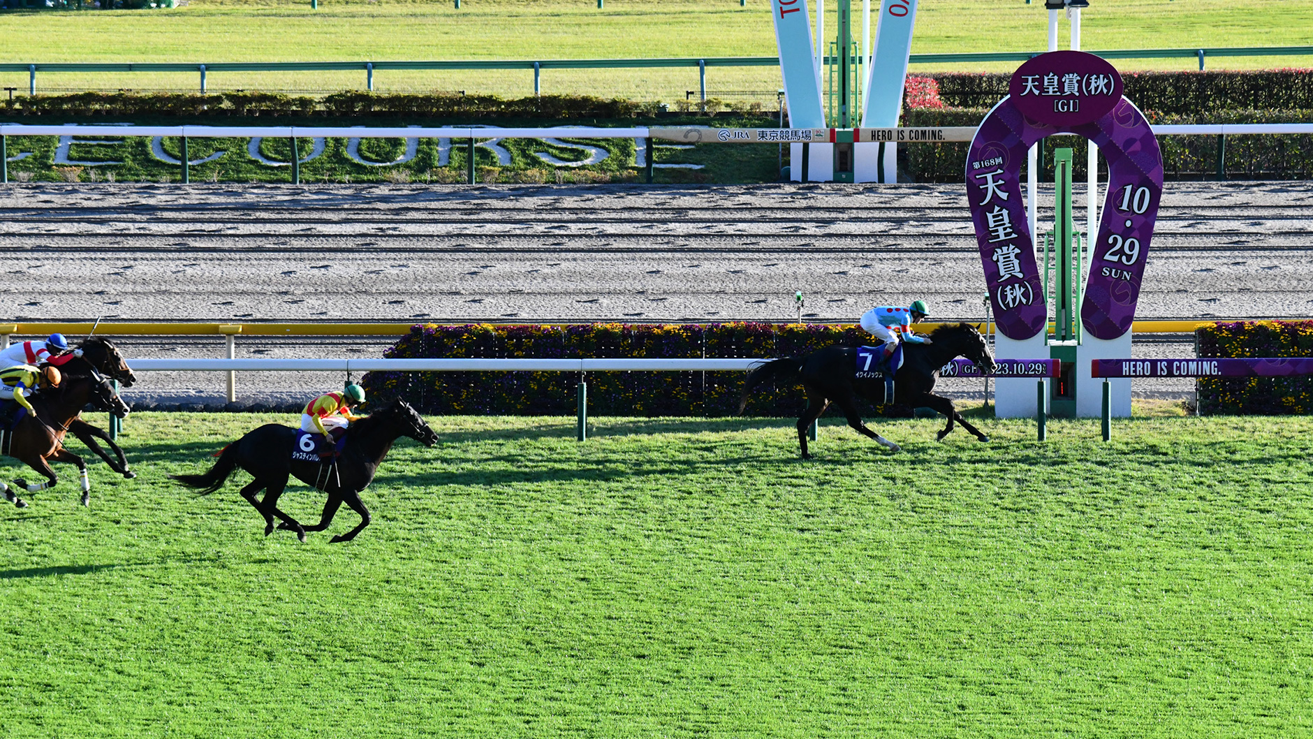 イクイノックス フォトアルバム 天皇賞・秋23 優勝記念品 競馬 JRA