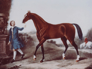 3大始祖と世界の血統：サラブレッド講座 JRA