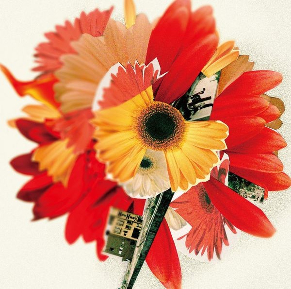 花は咲くプロジェクト arrangement by 菅野よう子 | NHK「明日へ