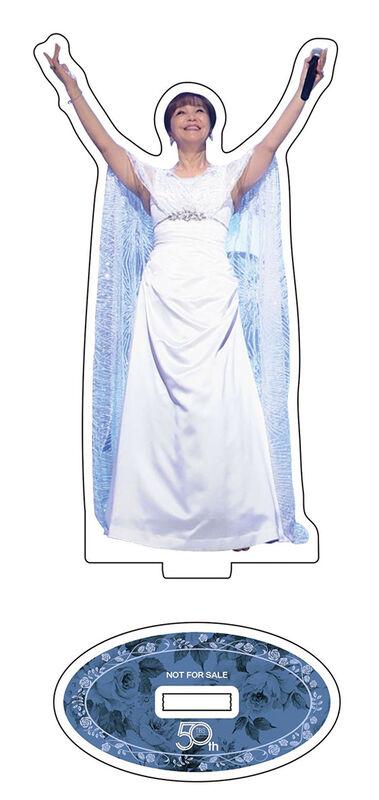 岩崎 宏美 | 「HIROMI IWASAKI 50th TBS Special Collection」先着予約