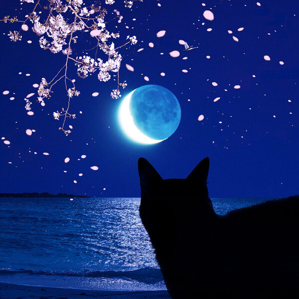 BUCK-TICK | 眩しくて 視えない / フリーダム フリーダム パラダイス