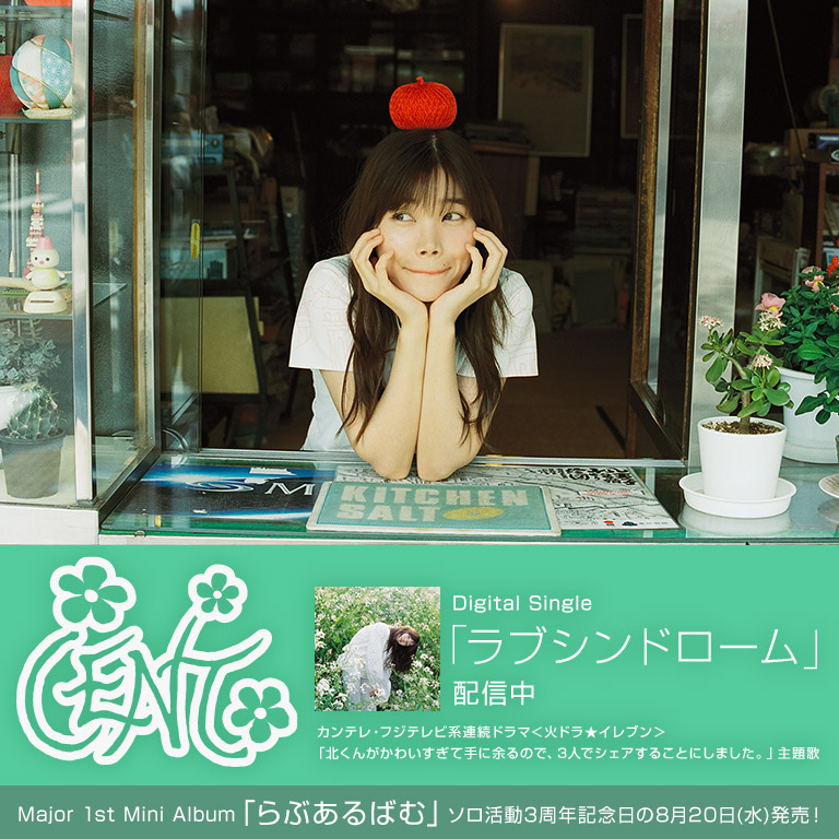 にっぽんの歌 ビクター編 [VHS] 【公式通販】