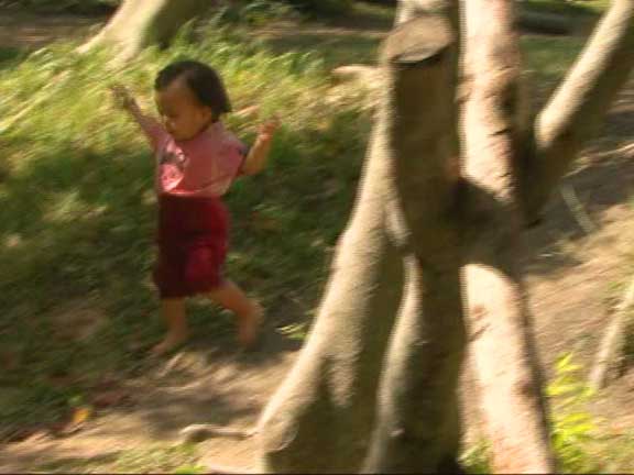 子どもたちは未来』シリーズ 第2期｜さくら・さくらんぼ保育園の斎藤