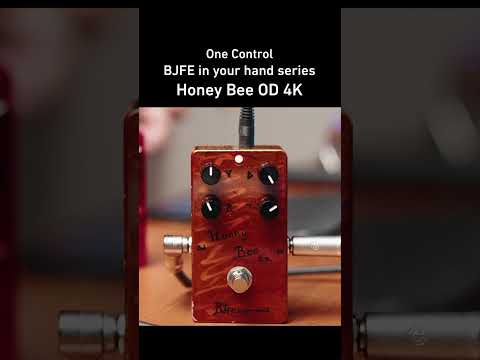 One Control BJFE in your hand series Honey Bee OD 4K – OneControl