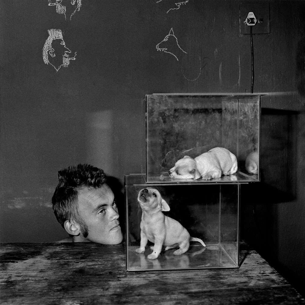Roger Ballen: Shadow Chamber | 2005 | OneArt