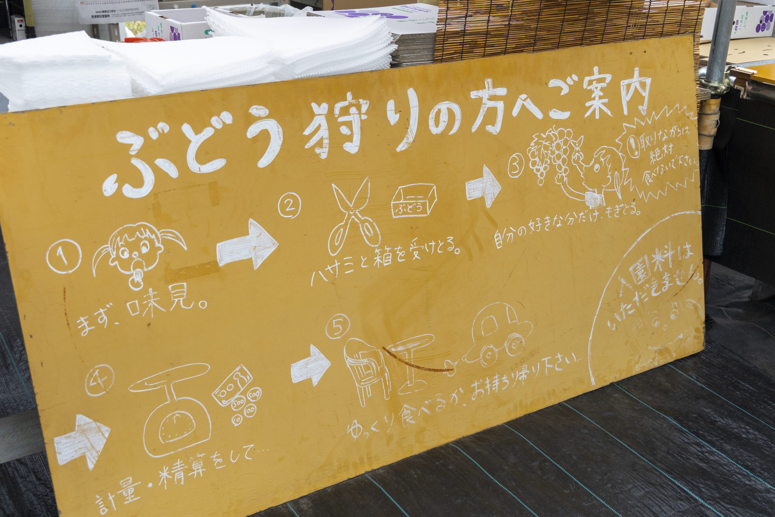 1房500円からぶどうの収穫体験ができる｜北会津町にある明治創業の大竹