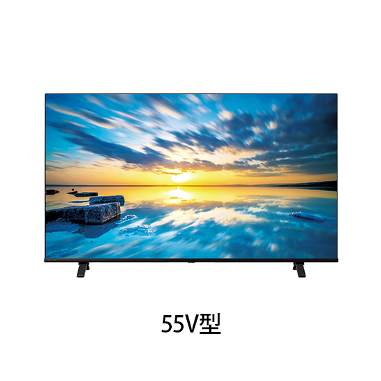 55C350M REGZA 法人向け液晶テレビ 55V型 エントリーモデルの通販