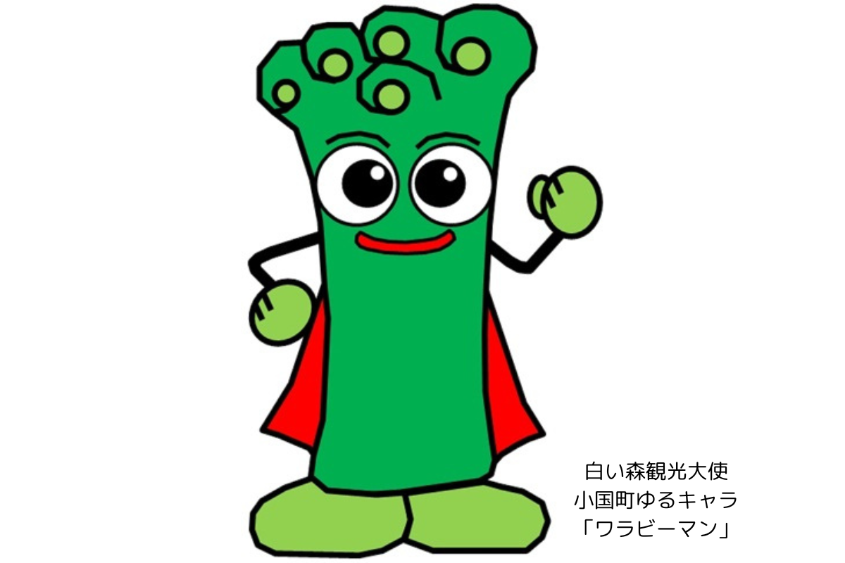 ぶどう×くるみ かごバッグ】伝統工芸品つる細工 - おぐにもん – 山形